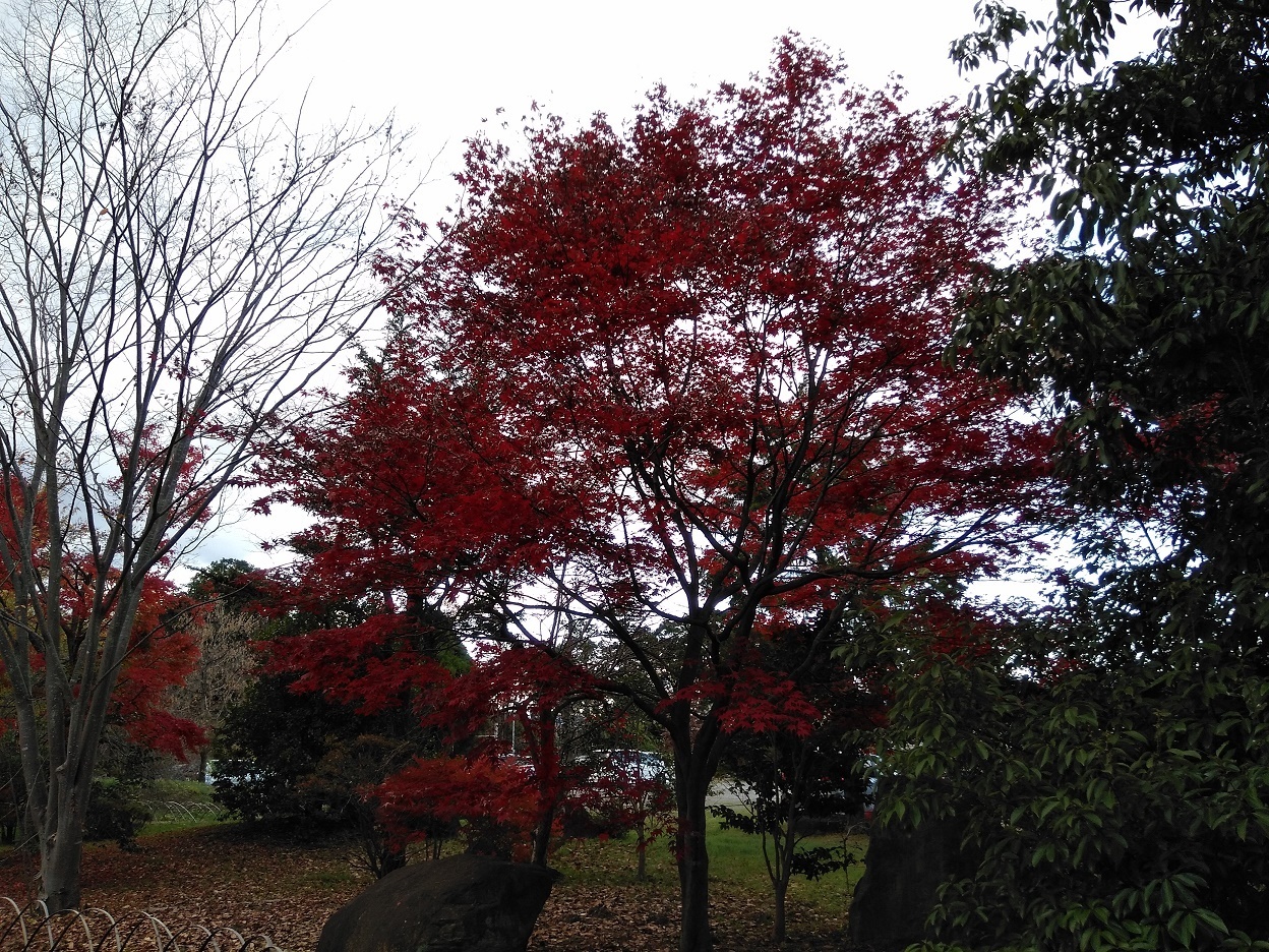 少林寺②.jpg