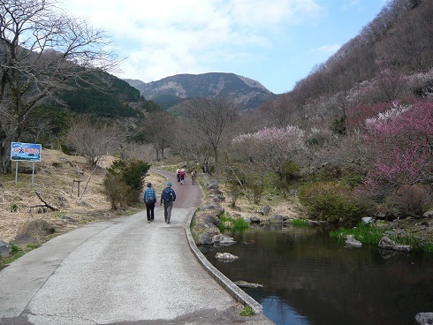 幕山登山.JPG