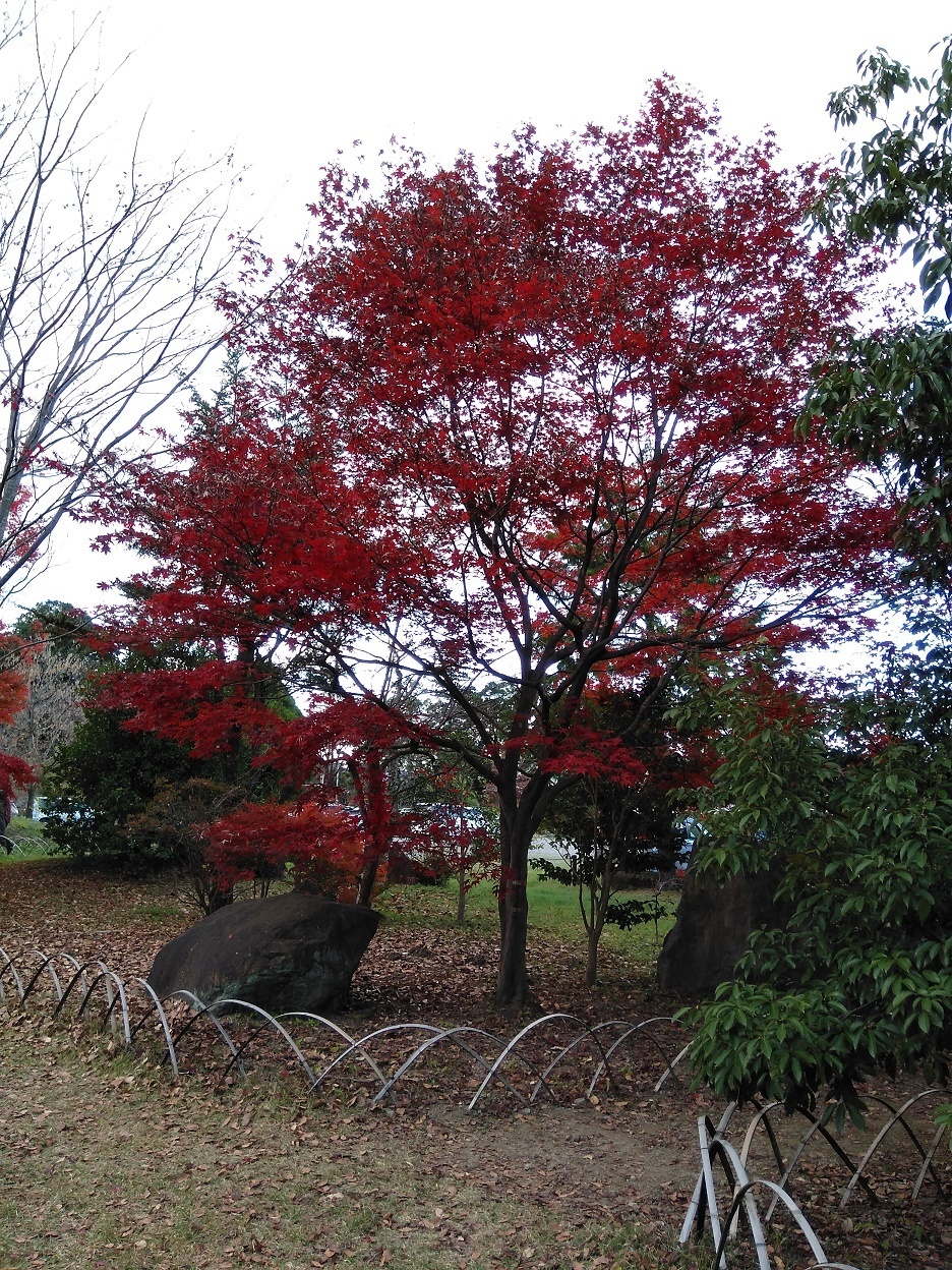 少林寺③.jpg