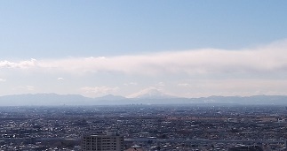 国税局富士山.jpg